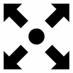 Travel Daypack Roomy Pro