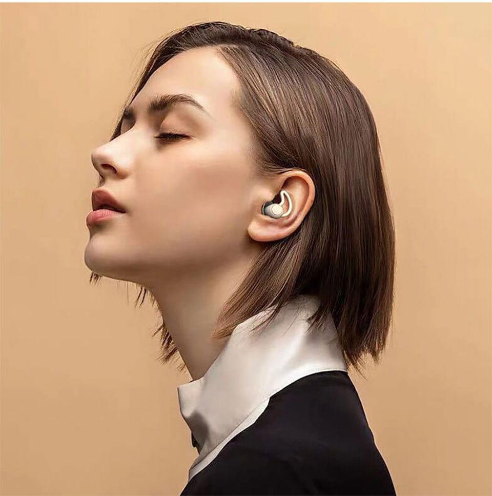 Noise Reduction Ear Plugs ARCA